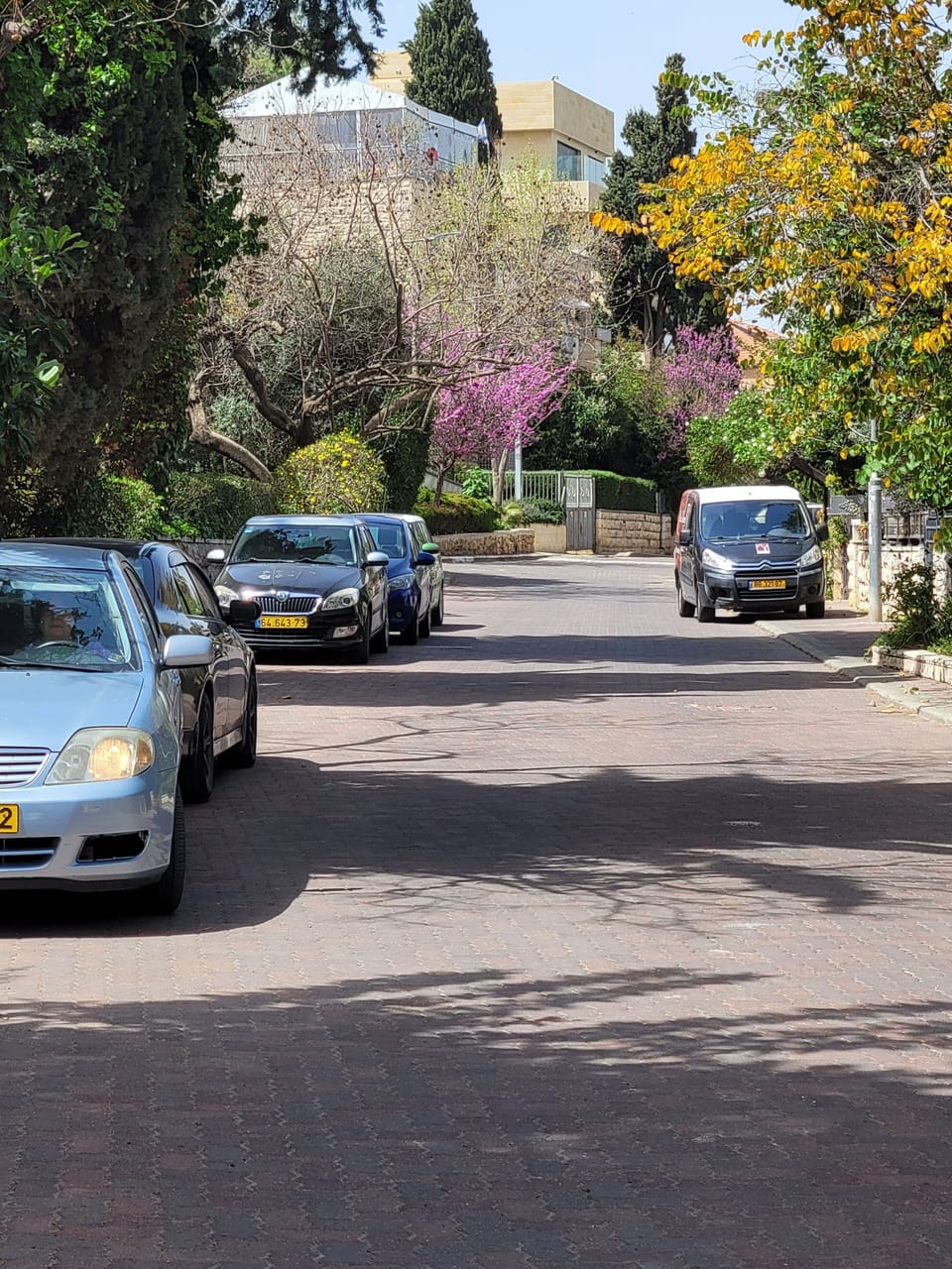 Street where apartment is located. Has street parking. Private street.