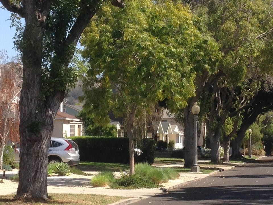 Quiet cul-de-sac street walking distance to Jackson Market and downtown Culver. 