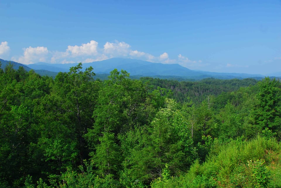 GreSmokLodg_DSC_0014