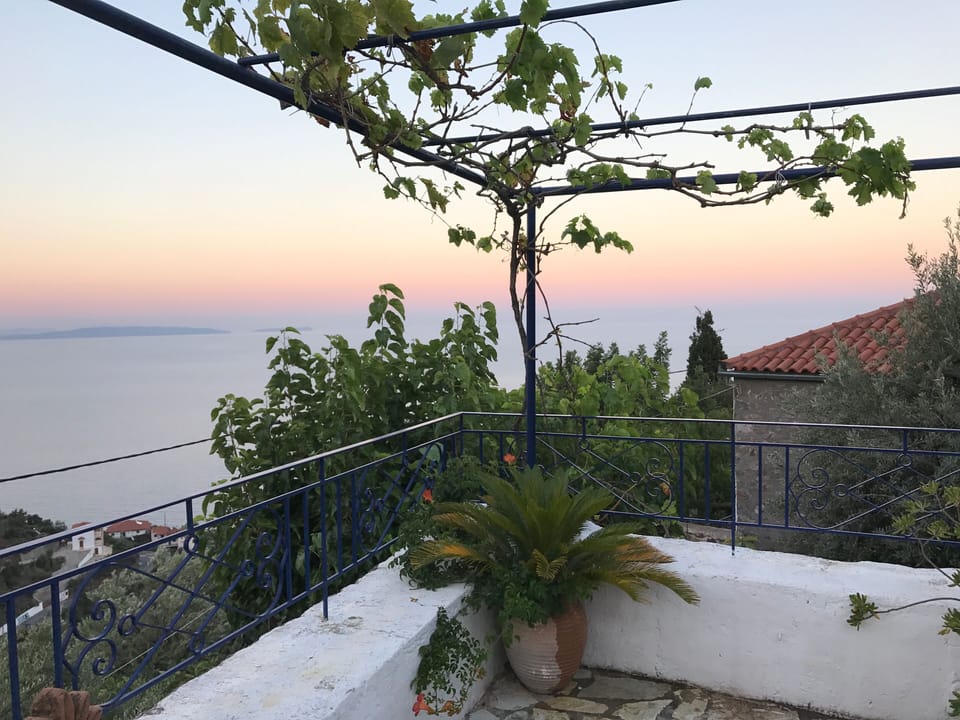 View from beneath the vine on the sun terrace