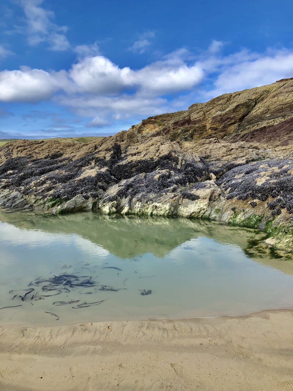 rock pools on the beach
