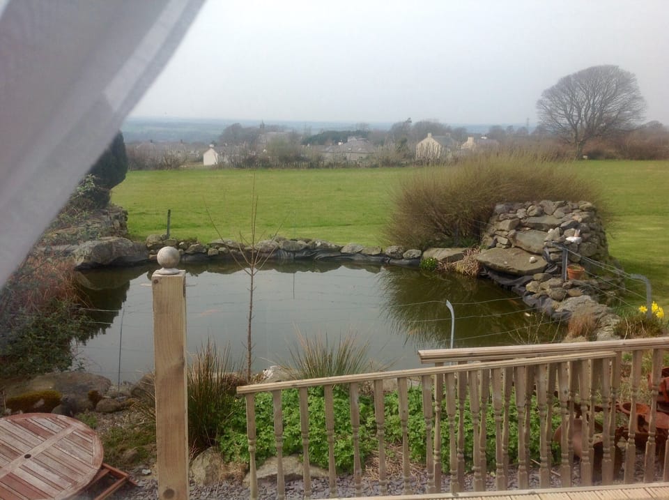 Pond full of large Koi with village & church 