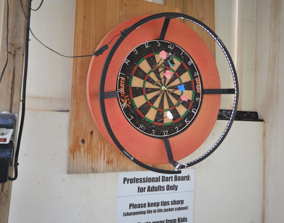 Professional Blade Dartboard with led ring