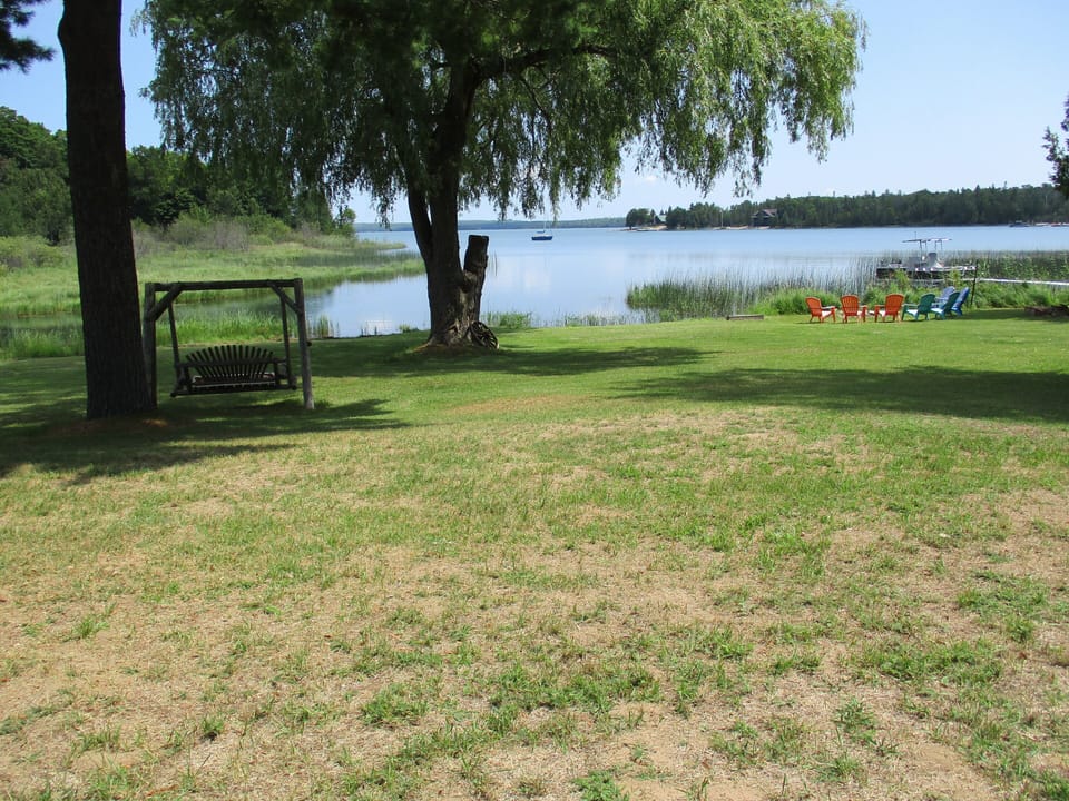 View of front yard