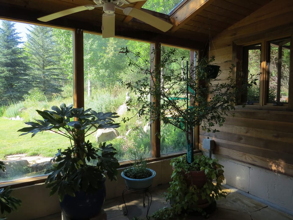 greenhouse