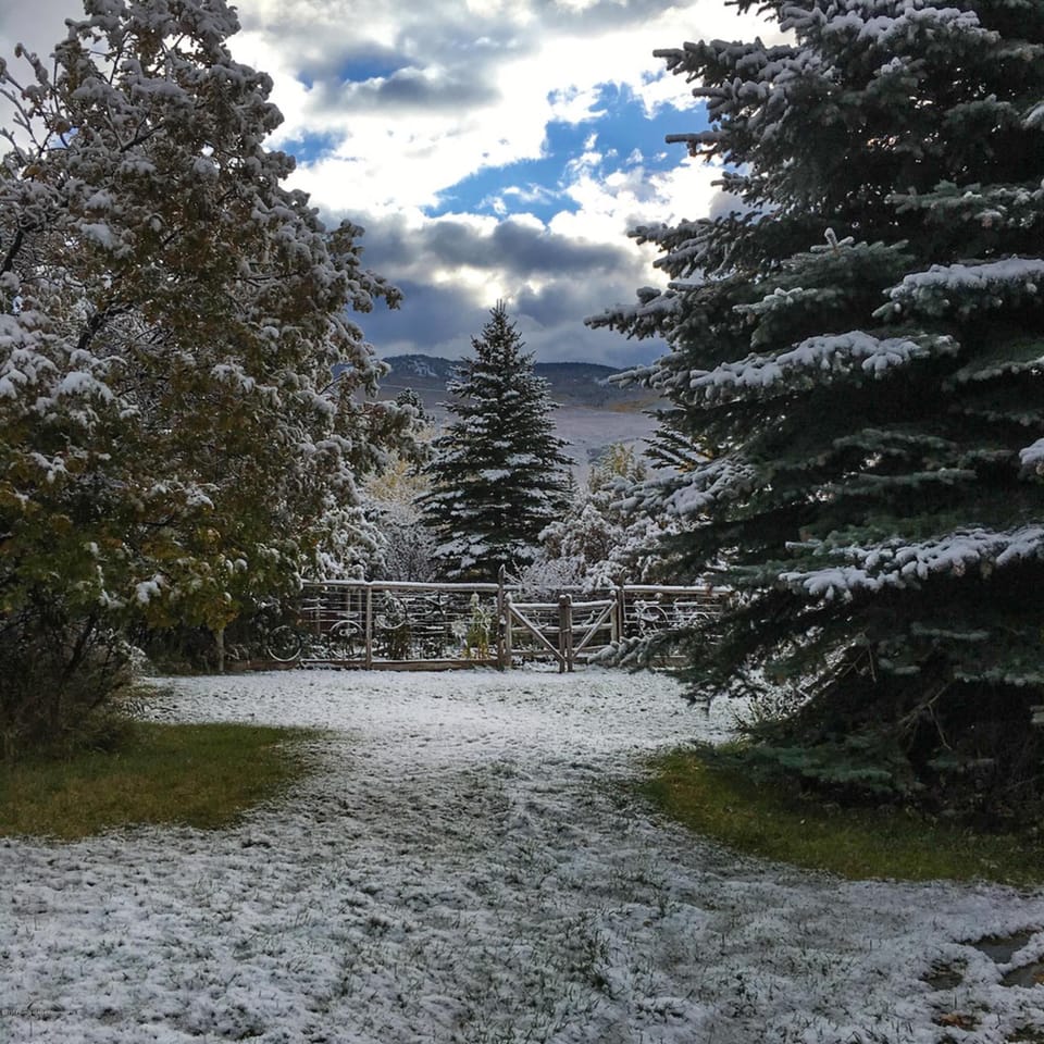 Early Fall/Winter view to garden area.