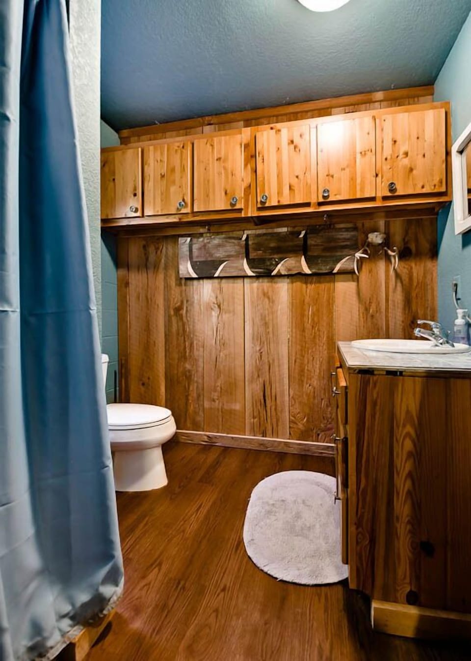 Lower Level Bathroom with a Walk-in Shower.