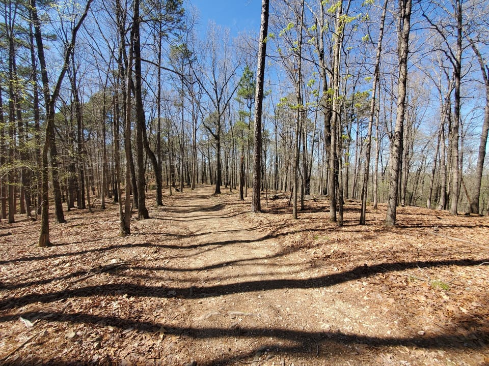 Long Gravel/Dirt Driveway