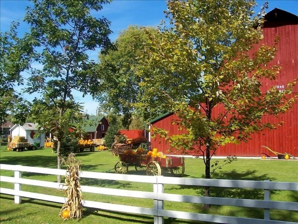 Visit a farm!