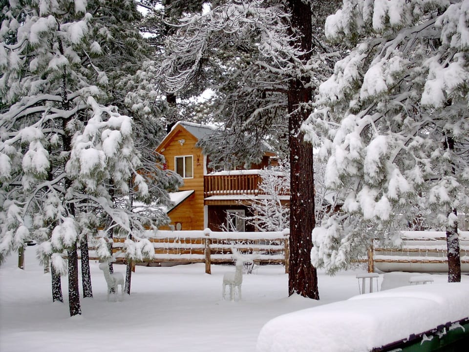 Winter picture of East Side of Cabin with upstair deck for Fantanstic Views
