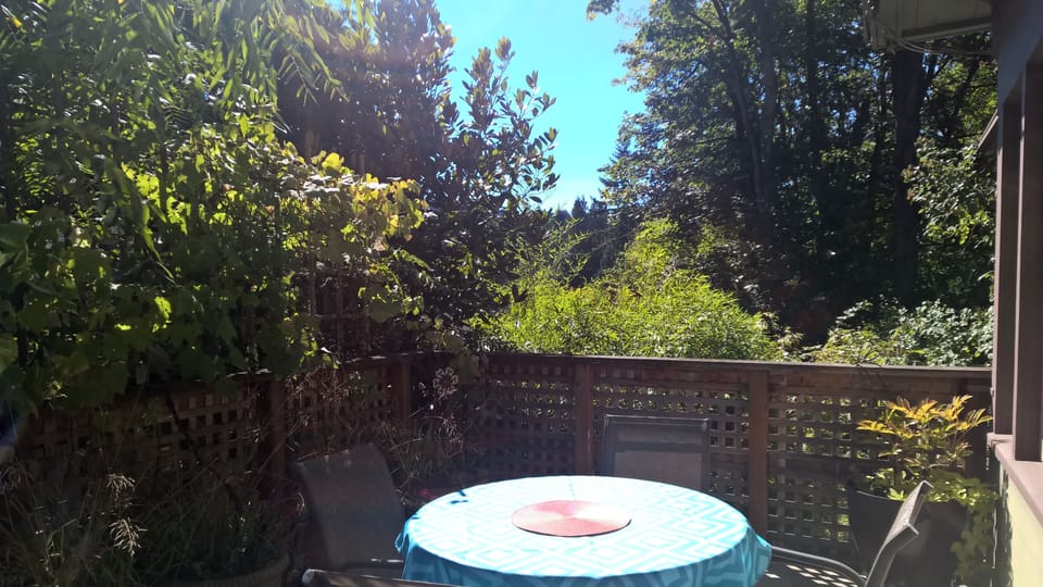 View to garden and Council Crest from main deck.