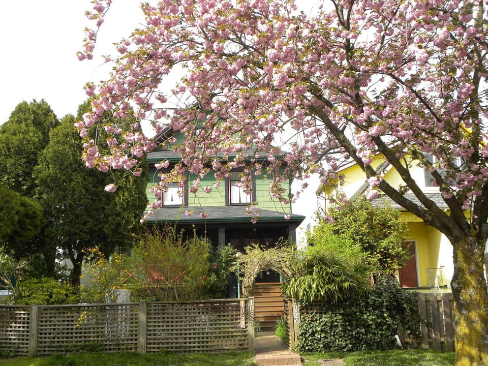 The front of the house during spring