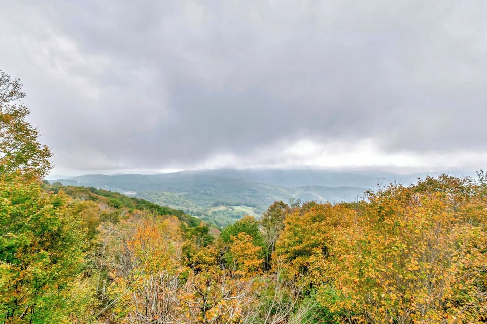 Fall View