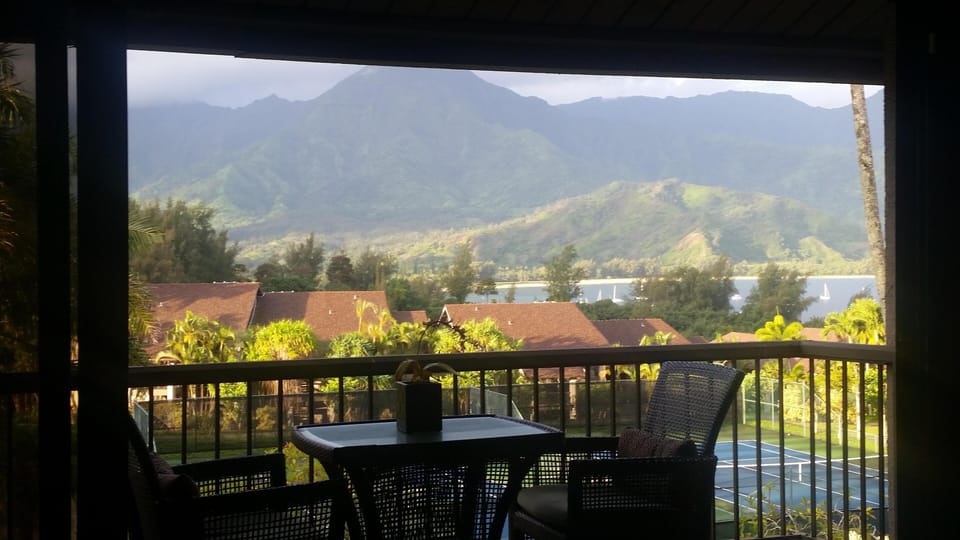 GORGEOUS PANORAMIC Lanai view from inside Unit.