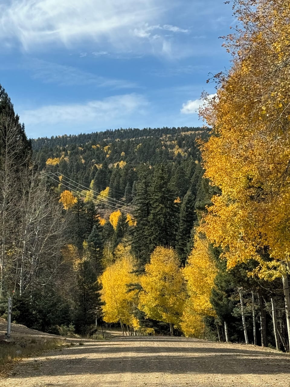 Fall view, Road headed west from the driveway.