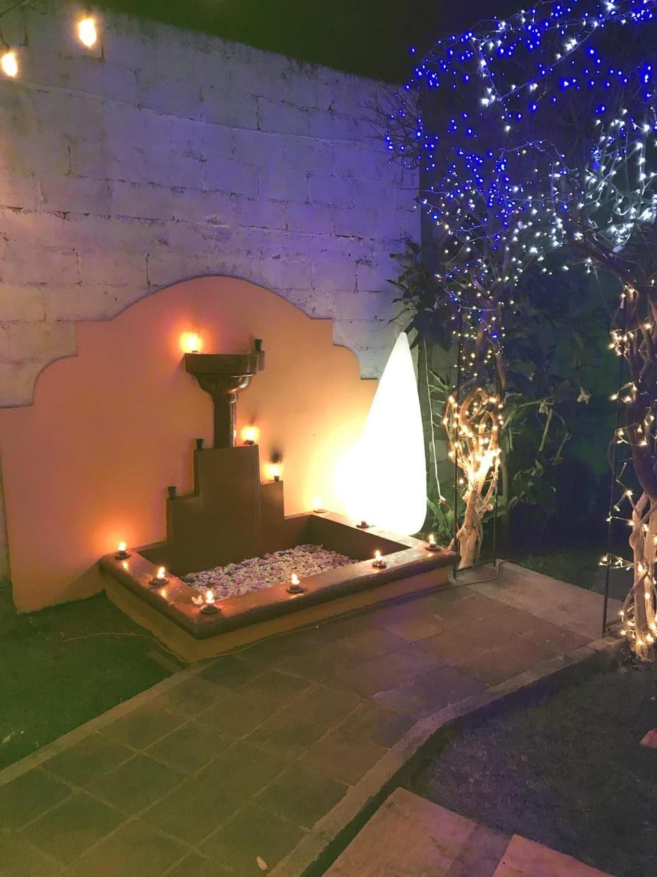 garden 2