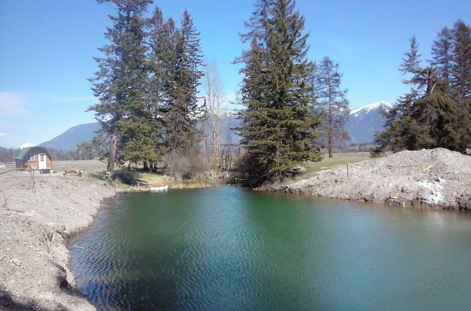 fish pond
