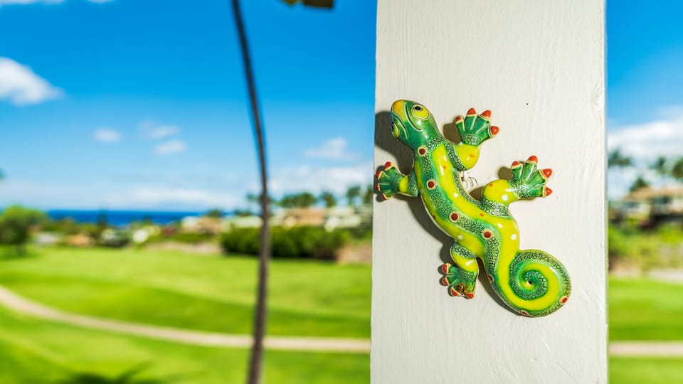 Hawaiian Geckos are considered a protector of house and believed to bring luck
