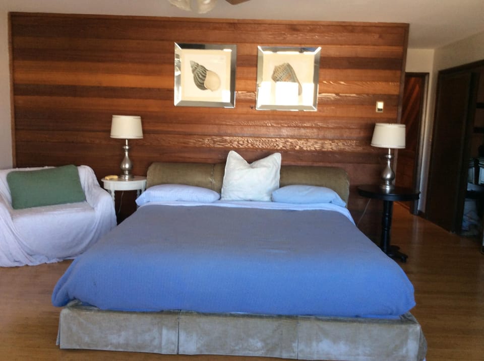 Master king size bed
