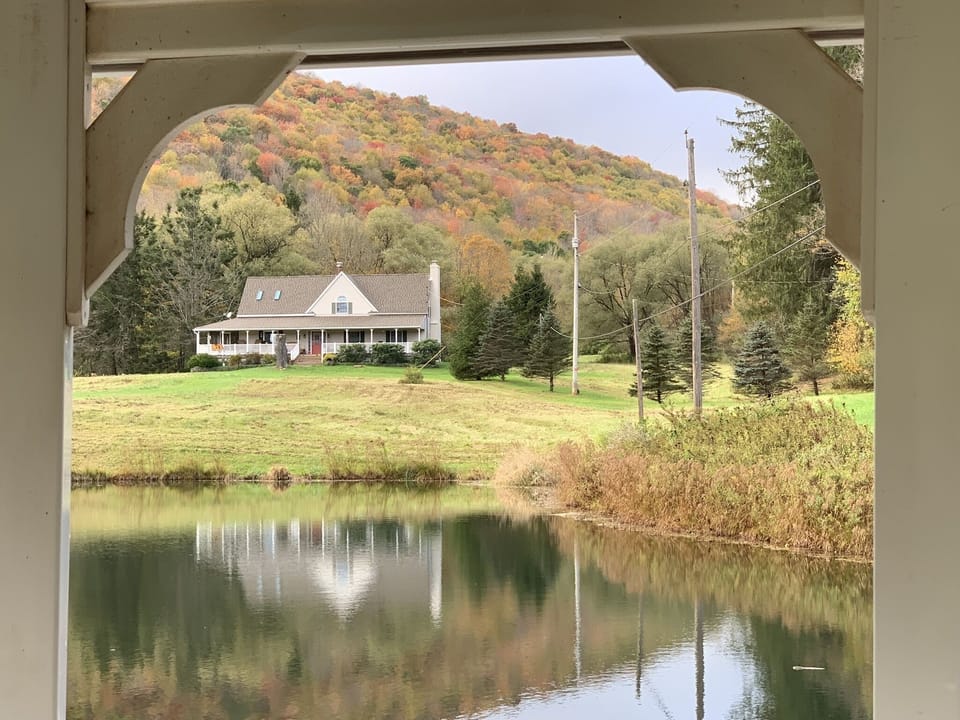 View from the Gazebo
