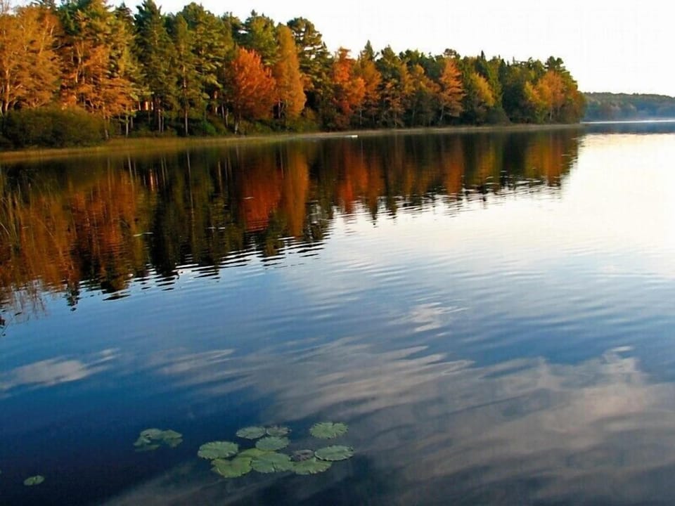 Boyd Pond in the fall