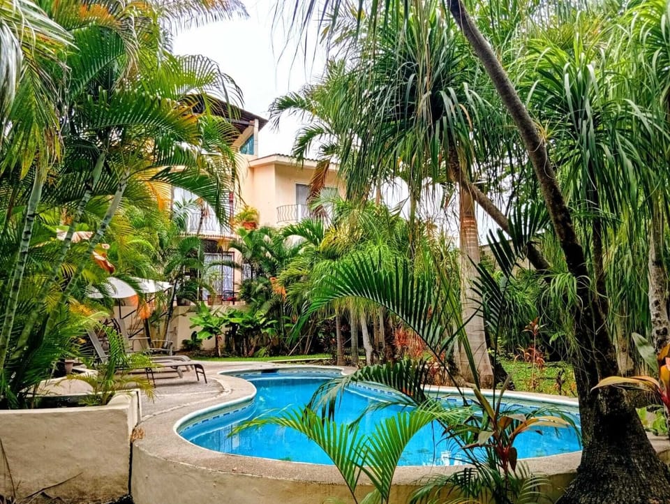 Pool and garden