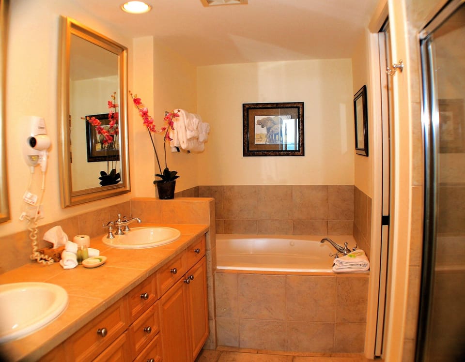 Master bathroom with a jet tub and walk-in shower 
