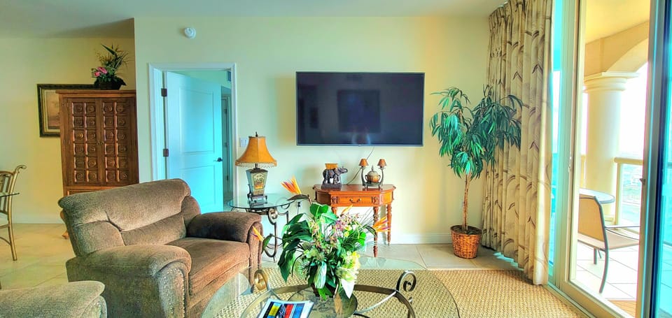 65" TV