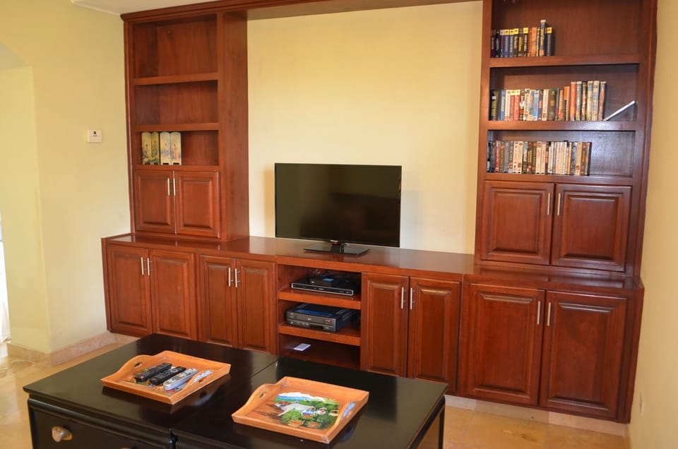 Guest Suite 1 TV Room