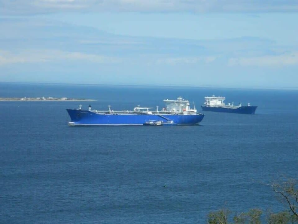 Watch the ships in and out of the harbor
