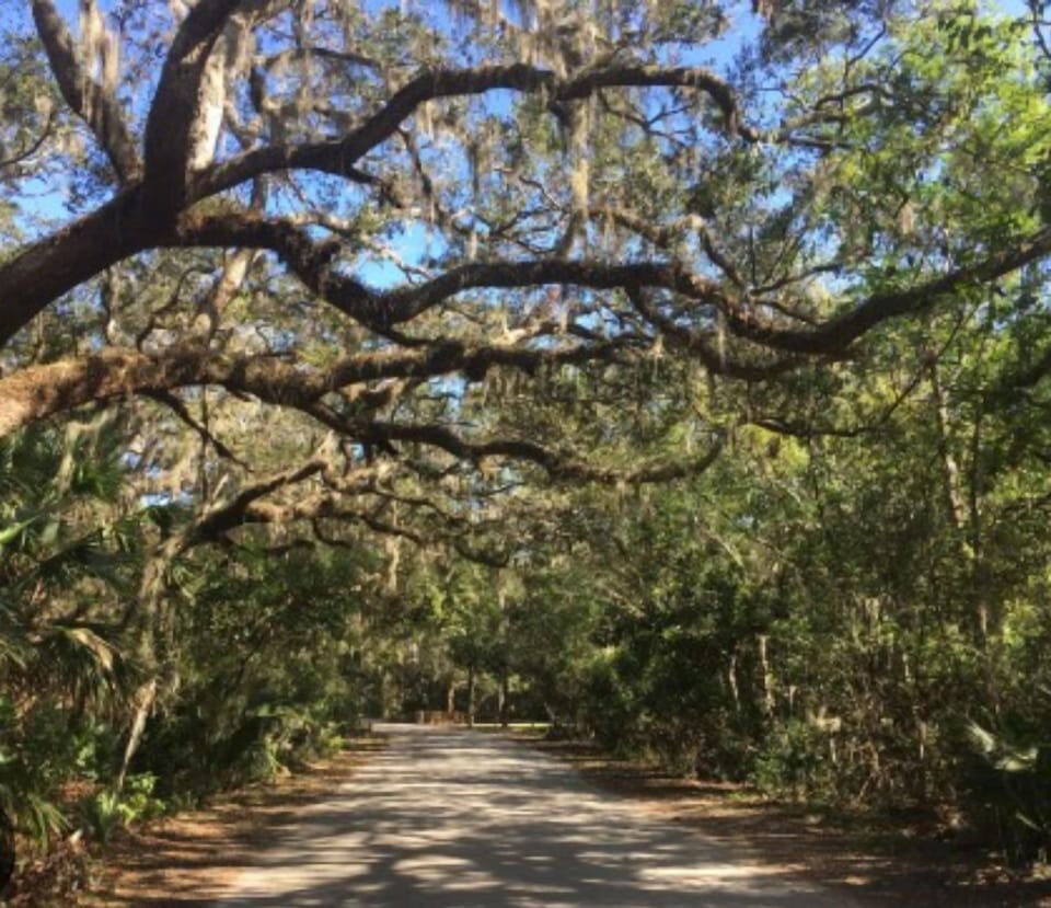 Bike through beautiful Ft Clinch State Park, only 1/4 mile away