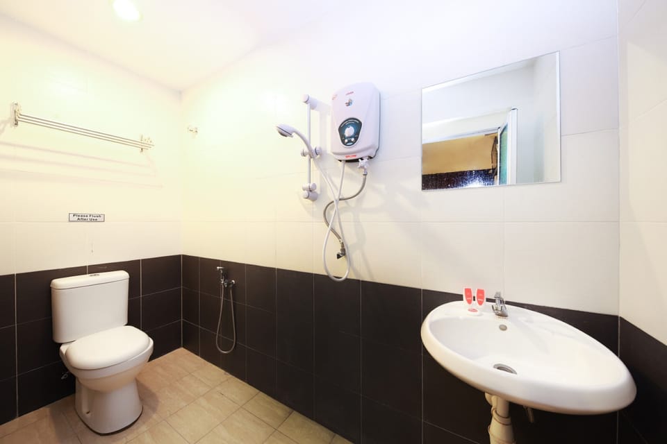 Deluxe Double Room | Bathroom | Shower, free toiletries, towels