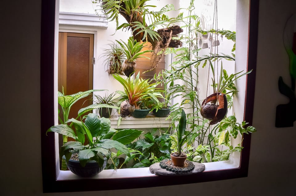 Indoor atrium.