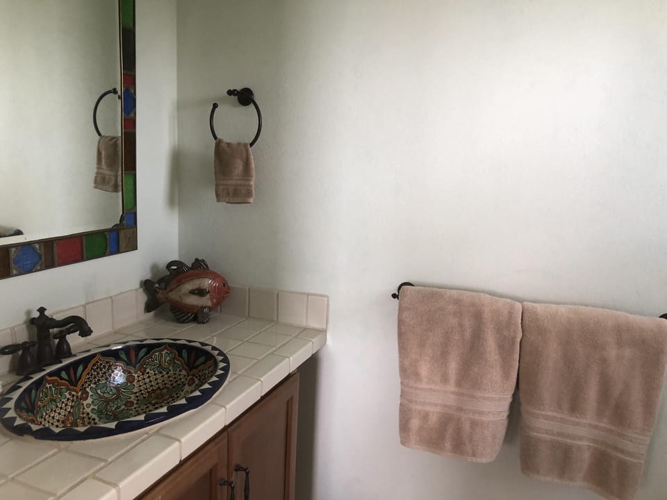 Lower level bath with hand-painted sink