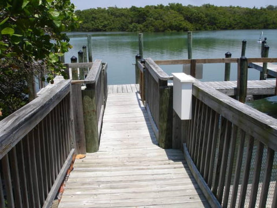 Our Docks on Lemon Bay