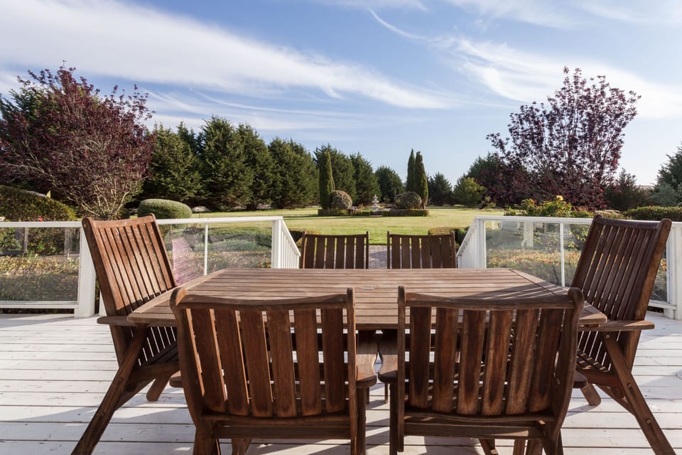 A view of the back yard