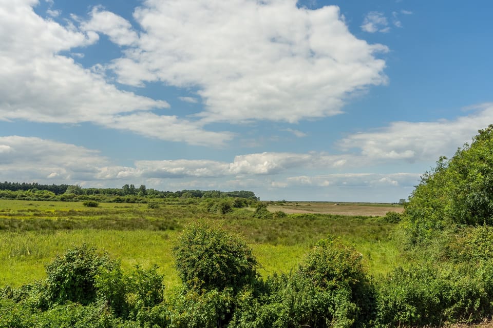 The view from Sea Holly Cottage