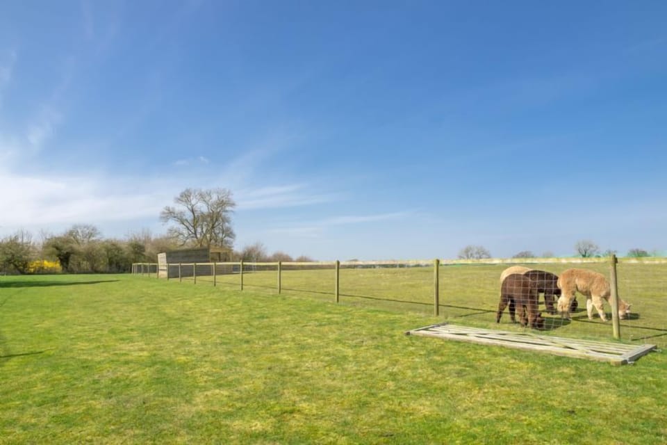 Surrounding West Heath Barns
