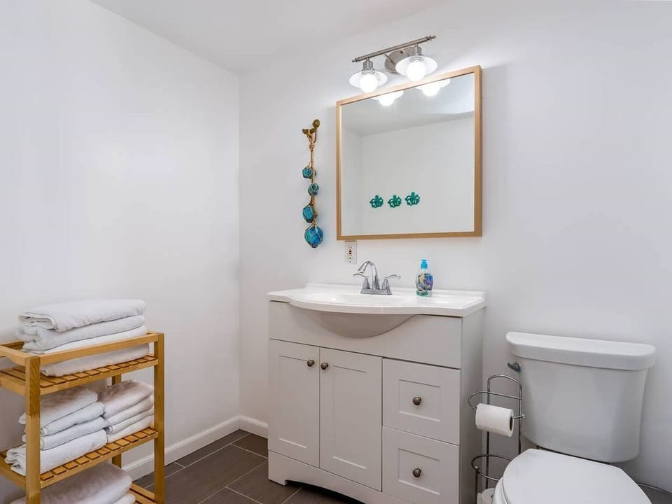 Lower level bathroom