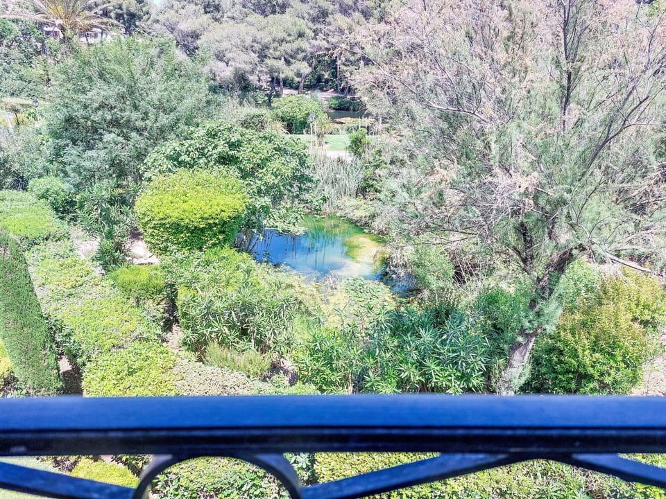 Shrub, Garden, Landscaping, Botanical Garden, Evergreen, Backyard