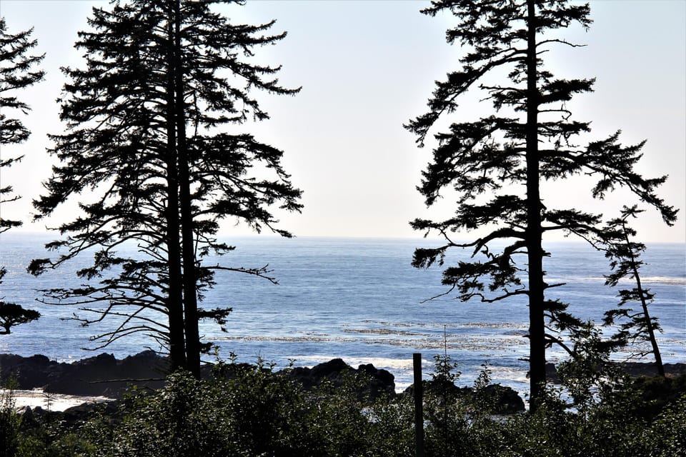 Pacific Ocean view from Beach Beach Villa