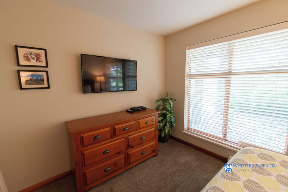 TV in master bedroom