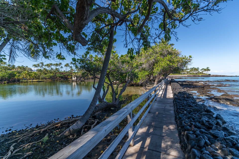 Walking Path traversing the area where the ocean feeds into the fishponds, leading to the Beach Club.