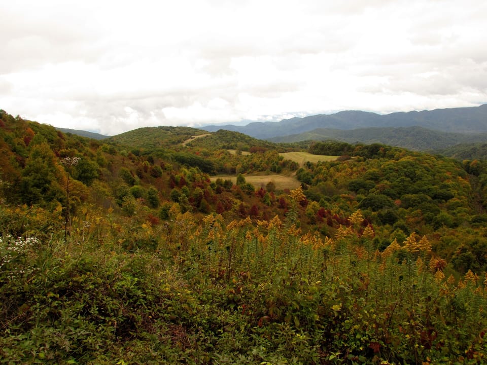 Max Patch is a great place to hike