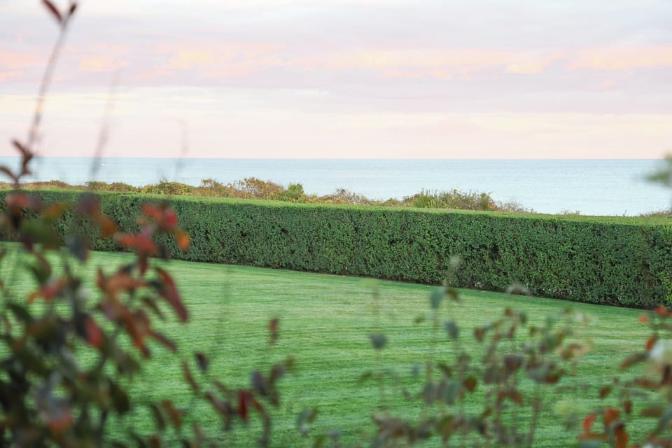 Your view from the patio!