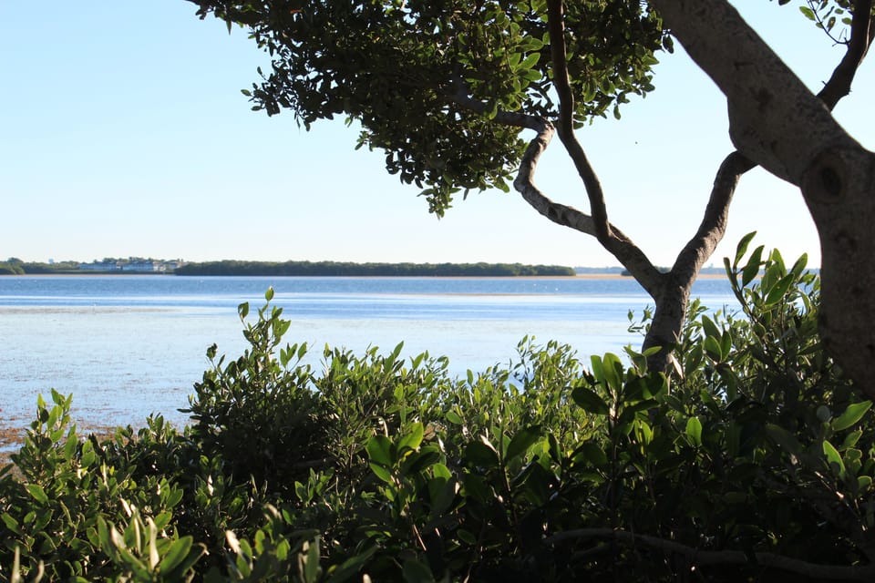 View from waterfront park