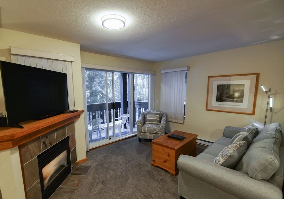 Living area with fireplace