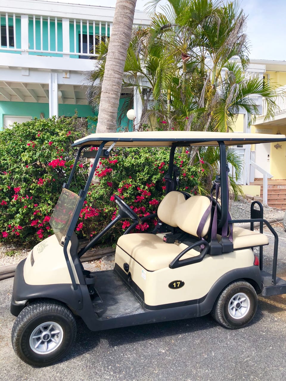 Only our homes includes a private 4 seater golf cart.