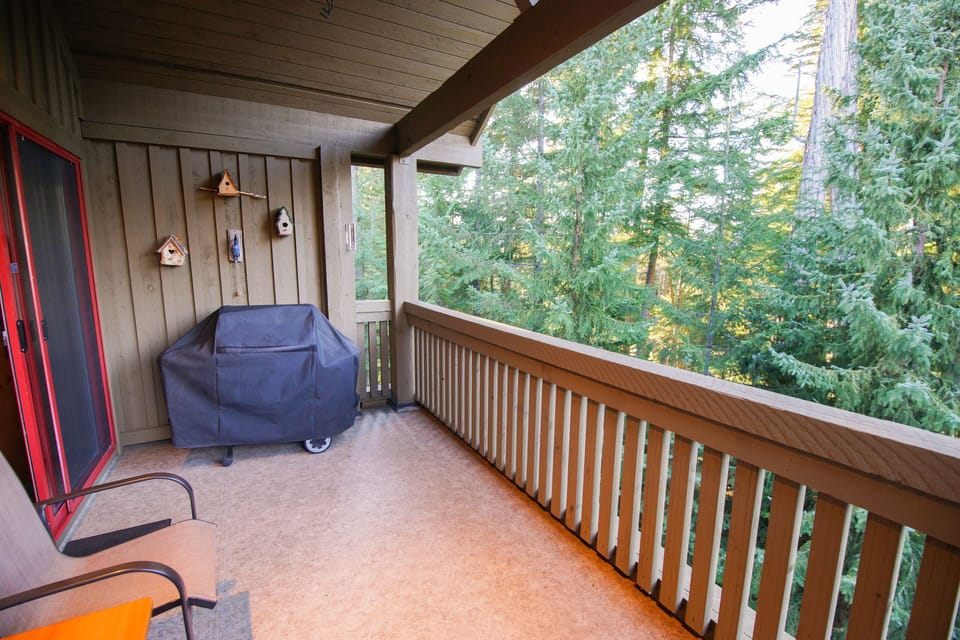 Patio with BBQ
