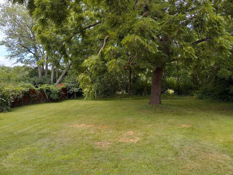 FENCED BACKYARD WITH OAK TREE GREAT FOR FAMILY PICNIC 